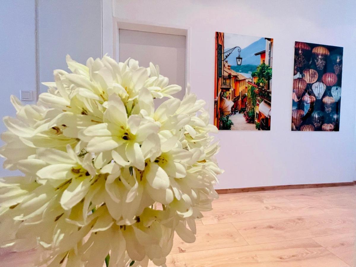 Colorful & Quiet Apartment In Beautiful Viennese Building Kültér fotó